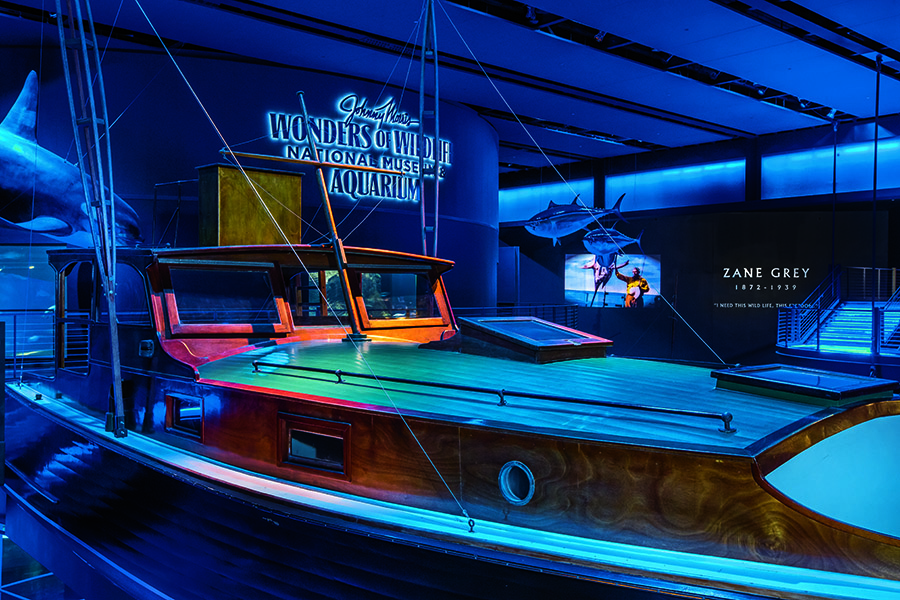 2017_WOW_AquariumAdventure_GreatOceansHall_13