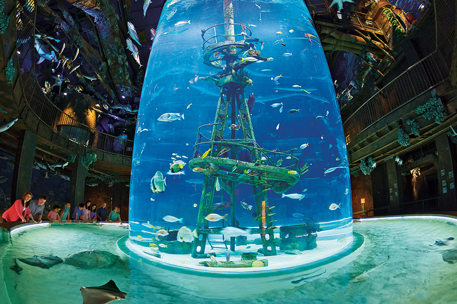 2024_WOW_ExhibitImage_Shipwreck_900x600