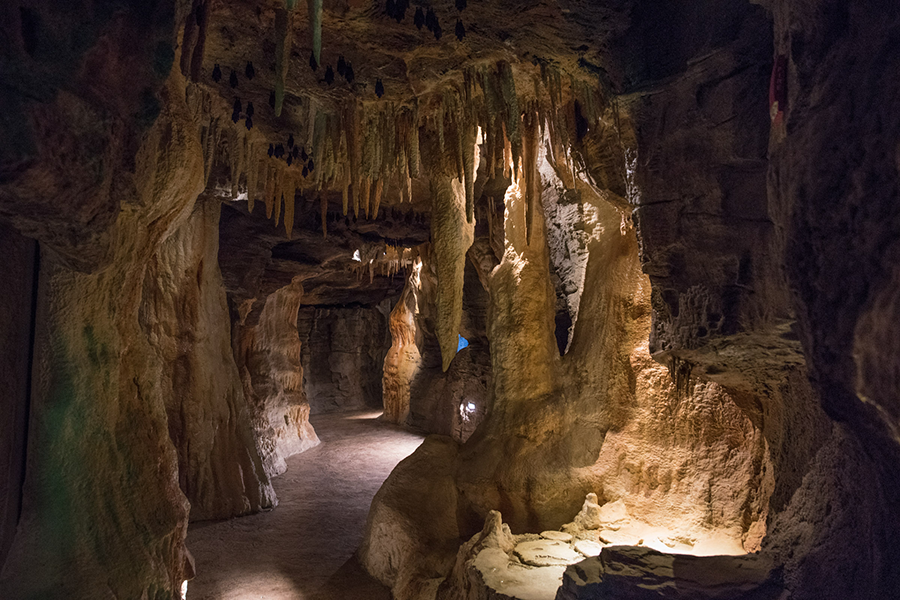 The cave exhibit at Wonders of Wildlife showcasing the dim lighting and rock formations.