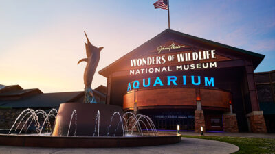 2024_WOW_GenAdminTicket_Header_800x450_02