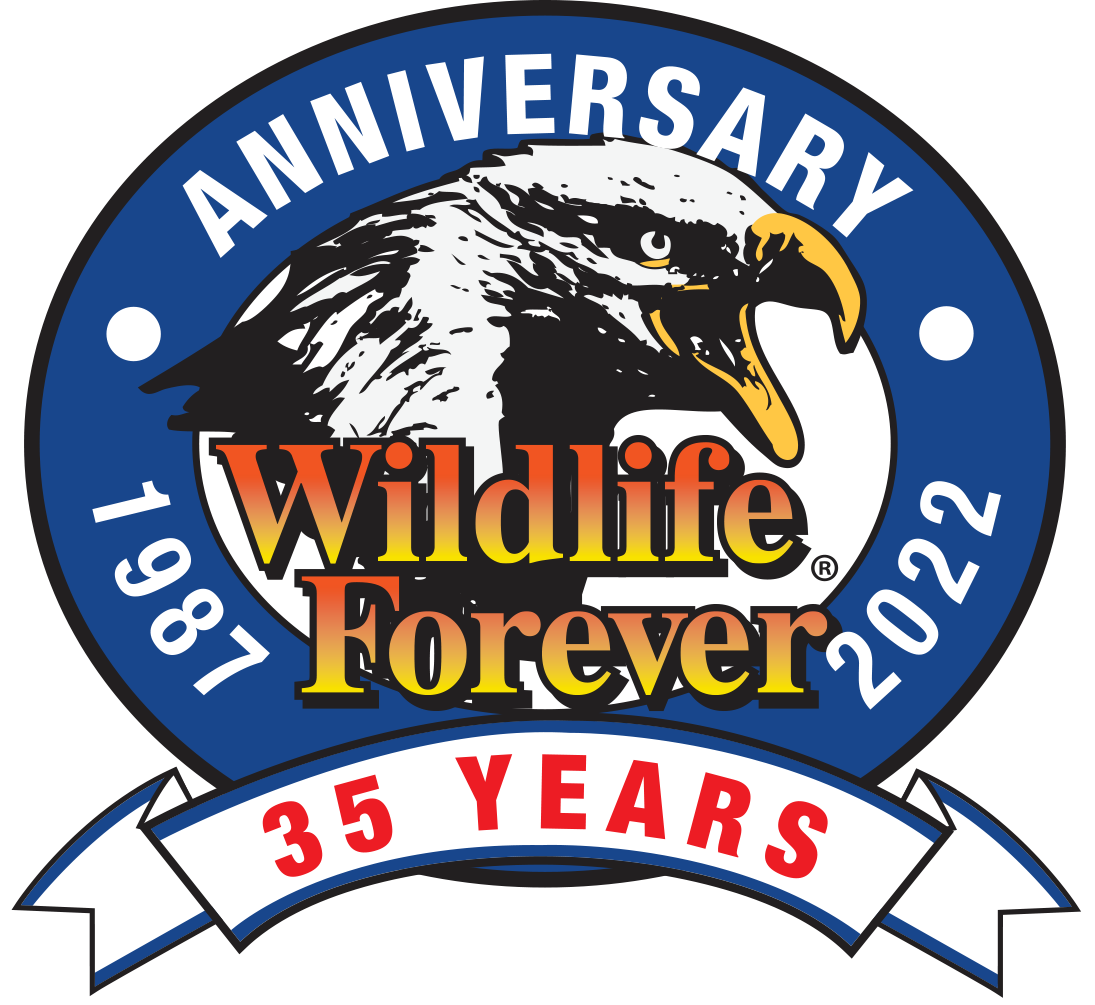 Wildlife Forever