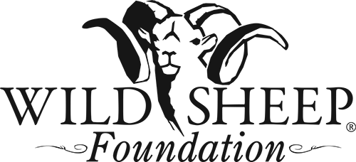 Wild Sheep Foundation