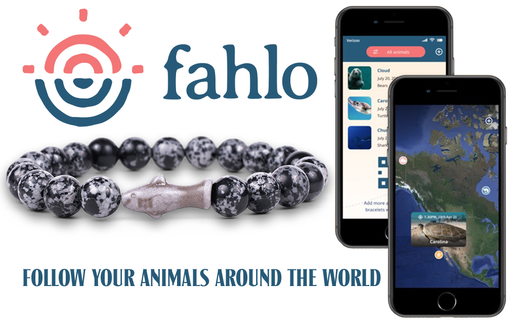 fahlo bracelet shark tracker