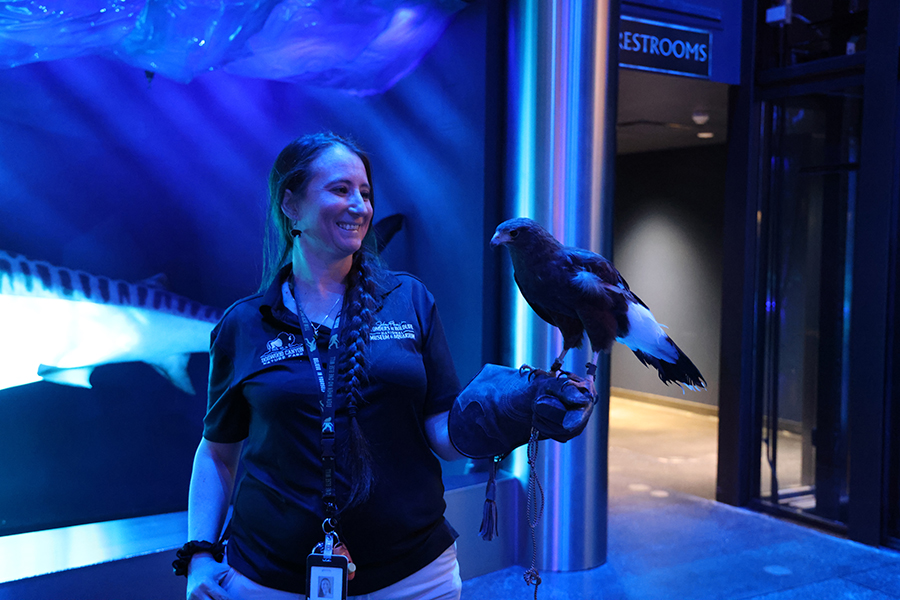 A staff member showing guests a hawk