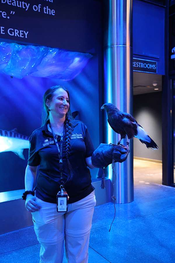A staff member showing guests a hawk
