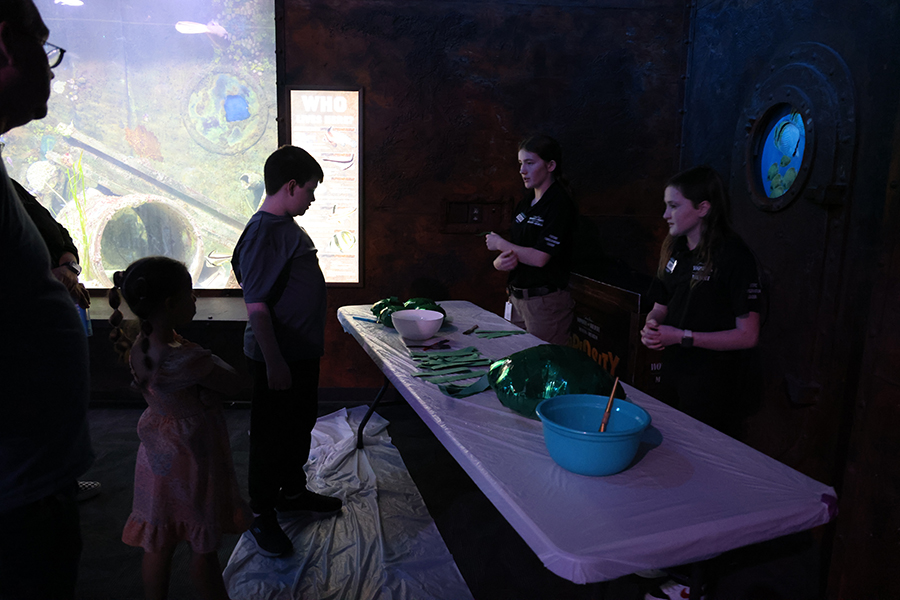 Guests taking part in a Member NIght activity