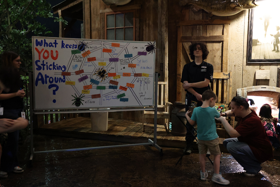 Guests taking part in a Member Night activity