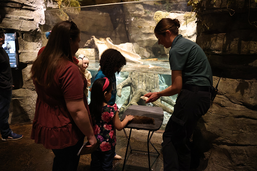 Guests taking part in a Member Night activity