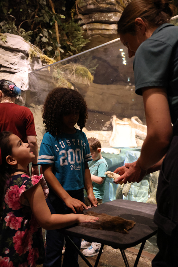 Guests taking part in a Member Night activity