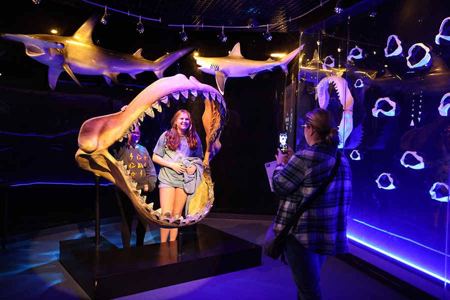 Guests taking a picture in a shark mouth.