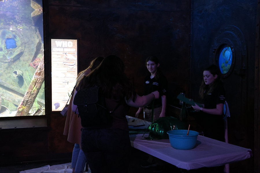 Guests take part in an activity.