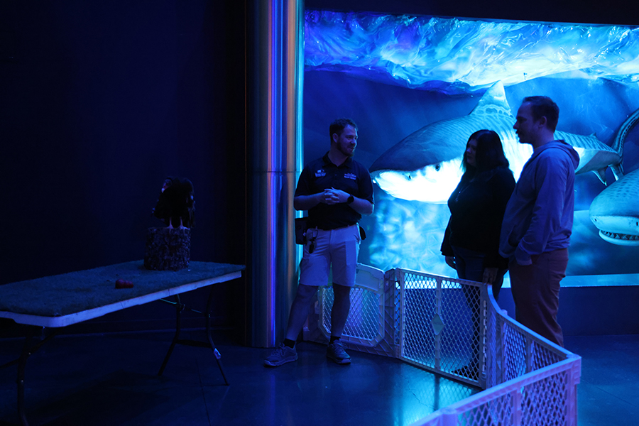 Guests admiring the turkey vulture while a staff member provides fun facts.