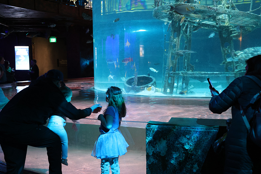 Children enjoy the Stingray Touch exhibit.
