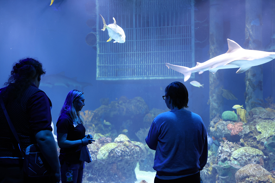 A staff member shares fun facts about sharks with sharks swimming behind her.