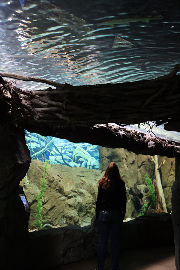 A guest takes in the exhibit around and above her.