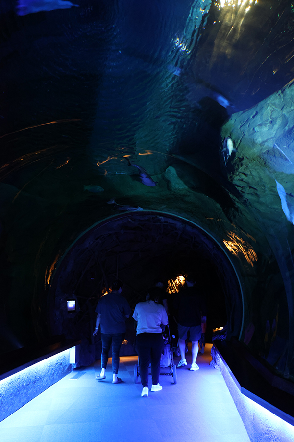 Guests leave the underwater tunnel.