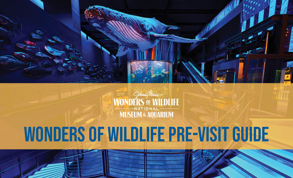 2024_WOW_PreVisitGuide_8.5x14_COVER