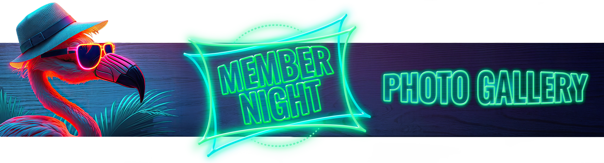 WOW_MemberNight25_Gallery_Banner2