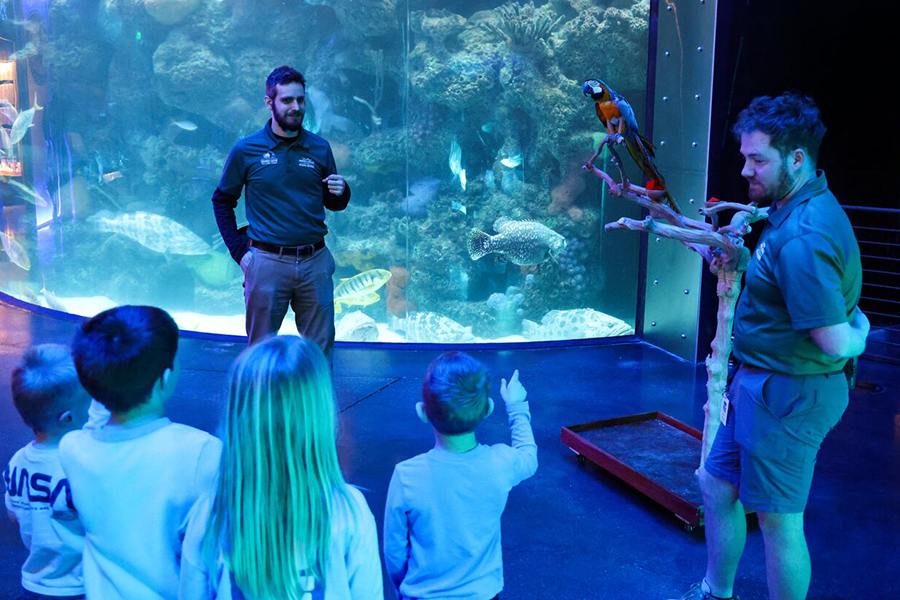 A Wonders of Wildlife staff member gives a short lecture on details of a nearby multi-colored parrot perched on a branch.