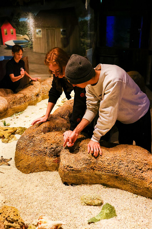 Several guests look at the invertabrates in the Invert Touch tank at Wonders of Wildlife.