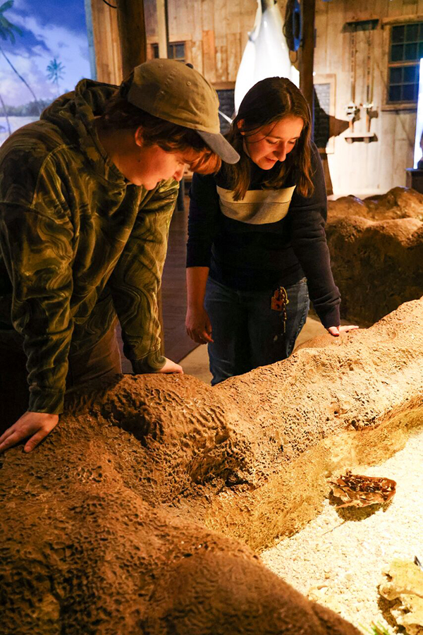 Several guests look at the invertabrates in the Invert Touch tank at Wonders of Wildlife.
