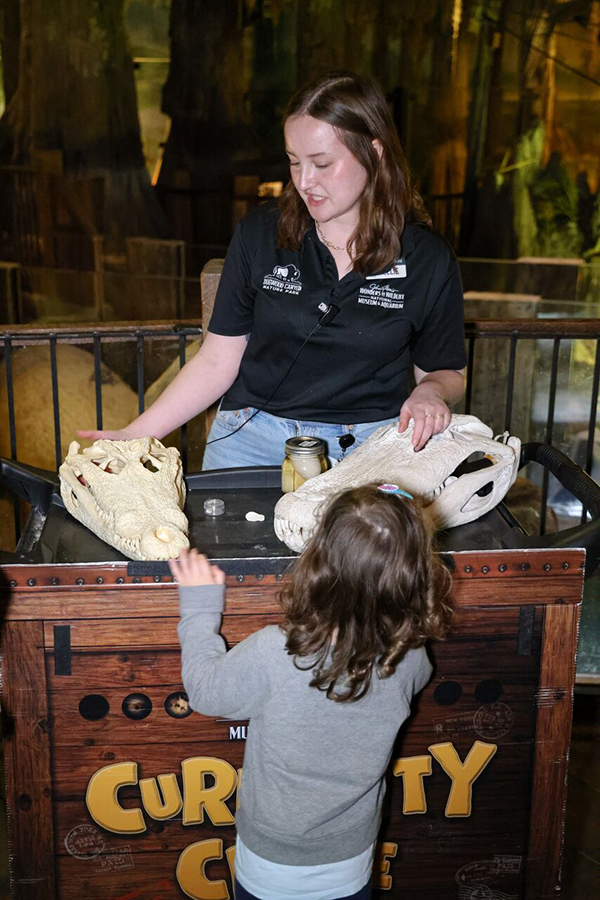 A staff member of Wonders of Wildlife shows a child an aligator skull.
