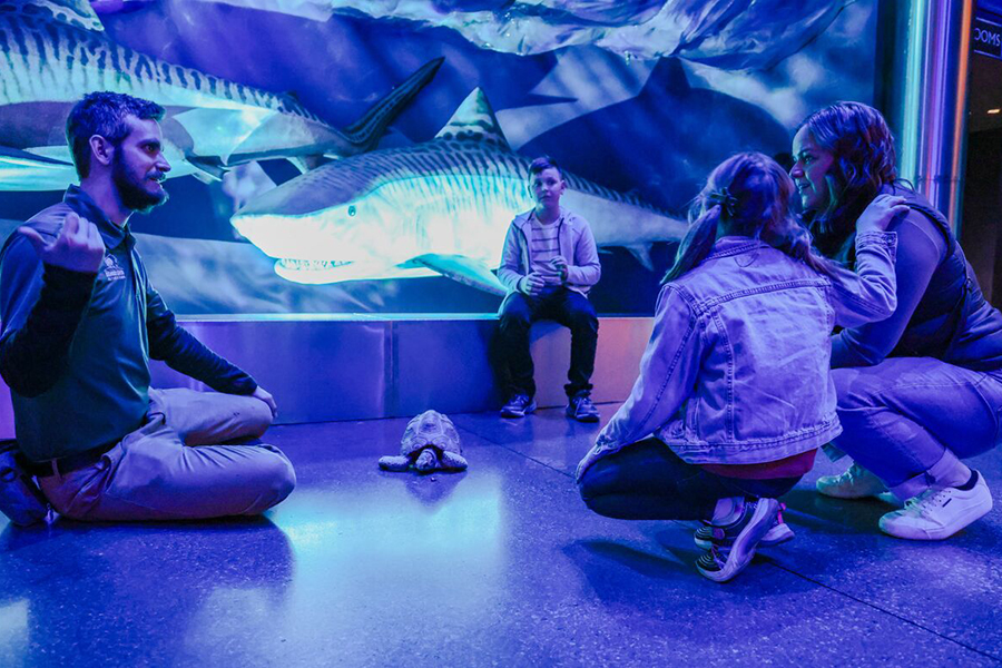 Several children sit on the floor watching a tortoise cross the floor at Wonders of Wildlife while a staff member shares information about the critter.