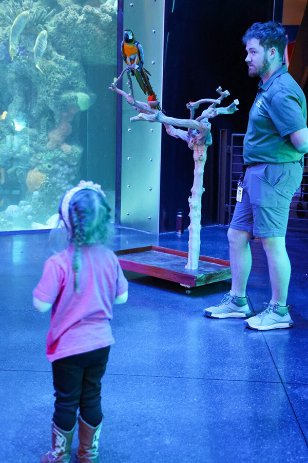 A young girl looks up at a perched multi-colored parrot next to a Wonders of Wildlife staff member.