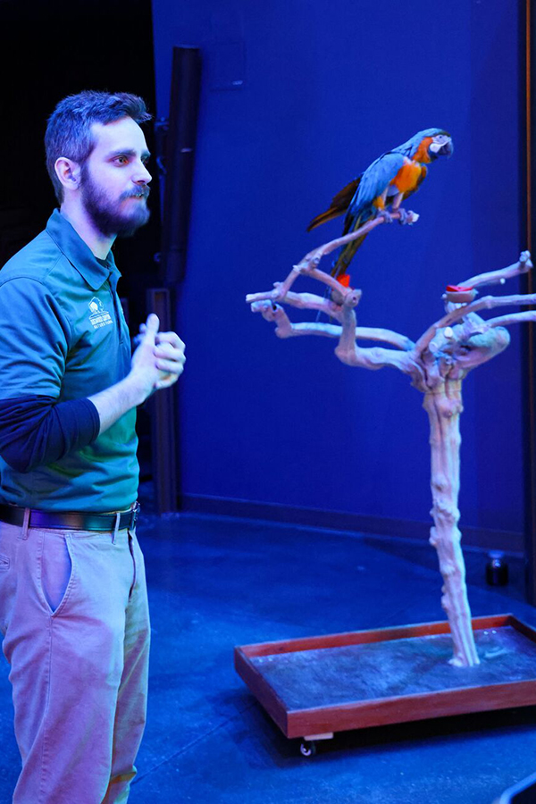 A Wonders of Wildlife staff member gives a short lecture on details of a nearby multi-colored parrot perched on a branch.
