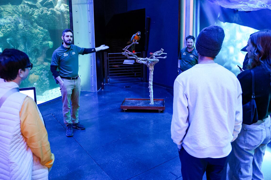 A Wonders of Wildlife staff member gives a short lecture on details of a nearby multi-colored parrot perched on a branch.