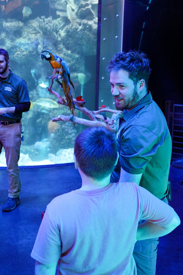 A Wonders of Wildlife staff member shares information about a nearby parrot with a young guest at Wonders of Wildlife.